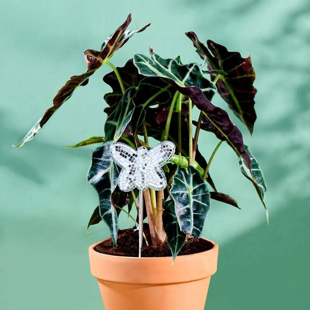 Disco Butterfly - Disco Ball Decorative Plant Stakes